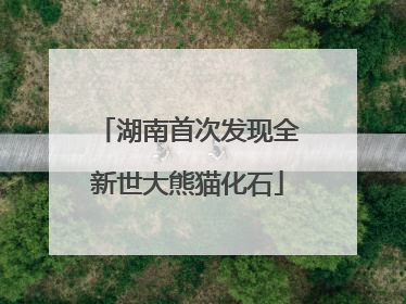 湖南首次发现全新世大熊猫化石