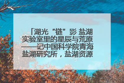 湖光“链”影 盐湖实验室里的星辰与荒原——记中国科学院青海盐湖研究所，盐湖资源化学实验室党总支书记、副主任刘忠