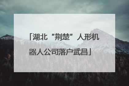 湖北“荆楚”人形机器人公司落户武昌