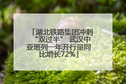湖北铁路集团冲刺“双过半” 武汉中亚班列一年开行量同比增长72%