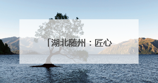 湖北随州：匠心筑牢无线屏障 电波护航华夏盛典