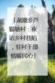 湖潮乡芦猫塘村：夜访乡村巷陌，驻村干部情暖民心