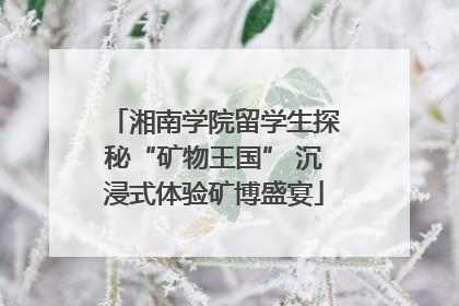 湘南学院留学生探秘“矿物王国” 沉浸式体验矿博盛宴