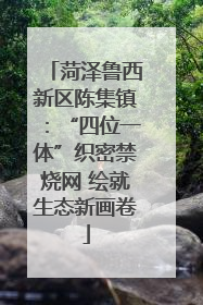 菏泽鲁西新区陈集镇：“四位一体”织密禁烧网 绘就生态新画卷