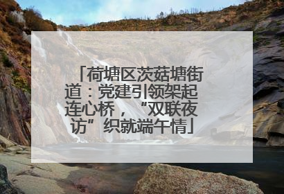 荷塘区茨菇塘街道：党建引领架起连心桥，“双联夜访”织就端午情