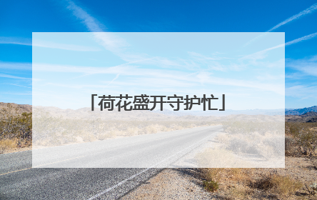 荷花盛开守护忙