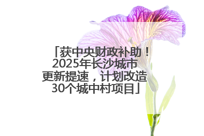 获中央财政补助！2025年长沙城市更新提速，计划改造30个城中村项目
