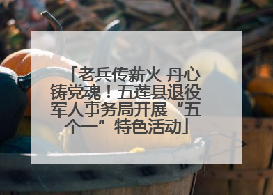 老兵传薪火 丹心铸党魂！五莲县退役军人事务局开展“五个一”特色活动