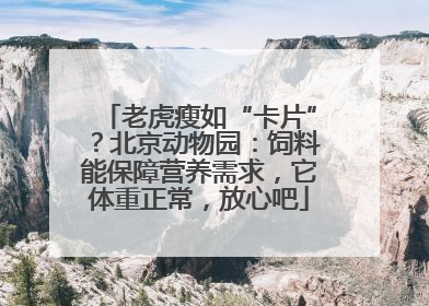 老虎瘦如“卡片”？北京动物园：饲料能保障营养需求，它体重正常，放心吧