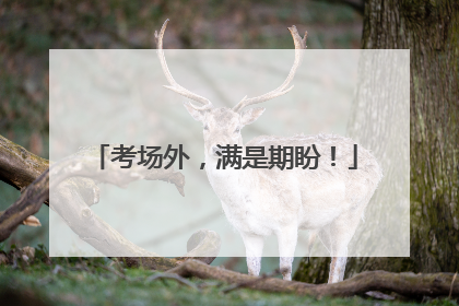 考场外，满是期盼！