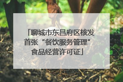 聊城市东昌府区核发首张“餐饮服务管理”食品经营许可证