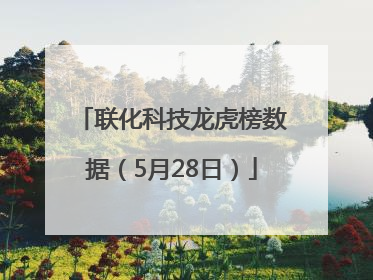 联化科技龙虎榜数据（5月28日）