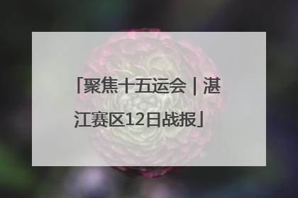 聚焦十五运会｜湛江赛区12日战报