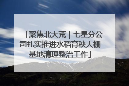 聚焦北大荒｜七星分公司扎实推进水稻育秧大棚基地清理整治工作