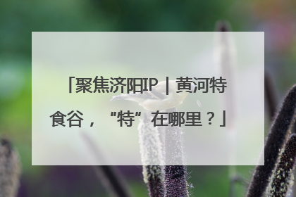 聚焦济阳IP｜黄河特食谷，“特”在哪里？