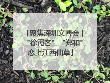 聚焦深圳文博会｜“徐霞客”“郑和”恋上江西仙草