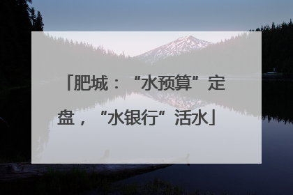 肥城：“水预算”定盘，“水银行”活水