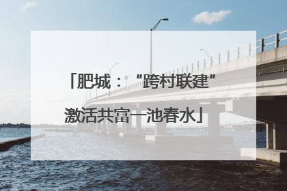 肥城：“跨村联建”激活共富一池春水