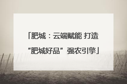 肥城：云端赋能 打造“肥城好品”强农引擎