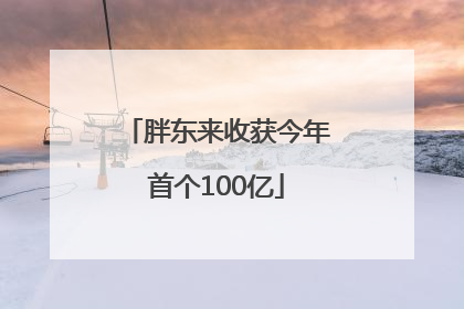 胖东来收获今年首个100亿