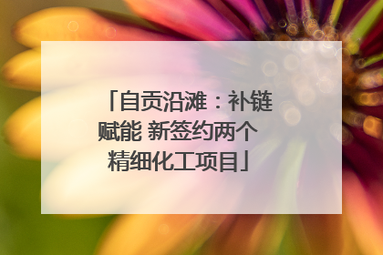 自贡沿滩：补链赋能 新签约两个精细化工项目