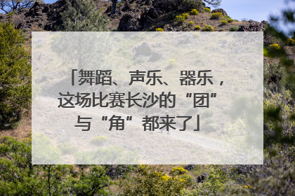 舞蹈、声乐、器乐，这场比赛长沙的“团”与“角”都来了