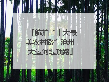 航拍“十大最美农村路”沧州大运河堤顶路