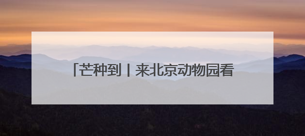 芒种到丨来北京动物园看动物们的夏日纳凉图鉴