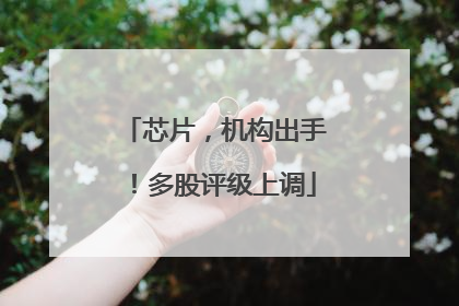 芯片，机构出手！多股评级上调