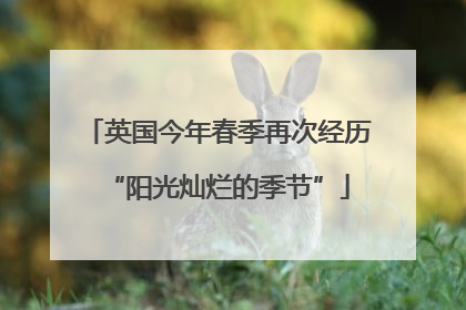 英国今年春季再次经历“阳光灿烂的季节”