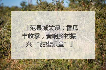 范县城关镇：香瓜丰收季，奏响乡村振兴 “甜蜜乐章”