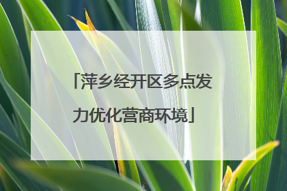 萍乡经开区多点发力优化营商环境