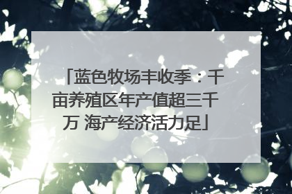 蓝色牧场丰收季：千亩养殖区年产值超三千万 海产经济活力足