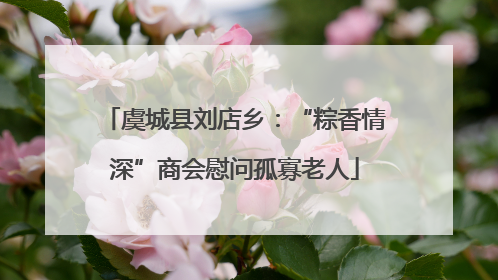 虞城县刘店乡：“粽香情深”商会慰问孤寡老人
