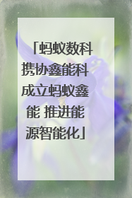 蚂蚁数科携协鑫能科成立蚂蚁鑫能 推进能源智能化