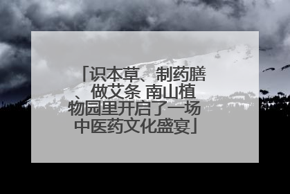 识本草、制药膳、做艾条 南山植物园里开启了一场中医药文化盛宴