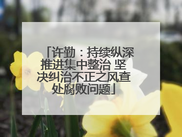 许勤：持续纵深推进集中整治 坚决纠治不正之风查处腐败问题