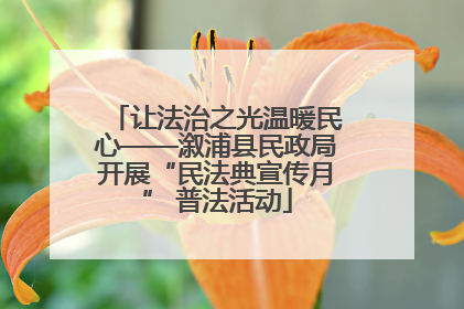 让法治之光温暖民心——溆浦县民政局开展“民法典宣传月” 普法活动