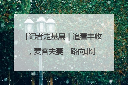 记者走基层｜追着丰收，麦客夫妻一路向北