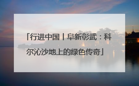 行进中国丨阜新彰武：科尔沁沙地上的绿色传奇