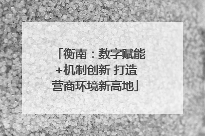 衡南：数字赋能+机制创新 打造营商环境新高地