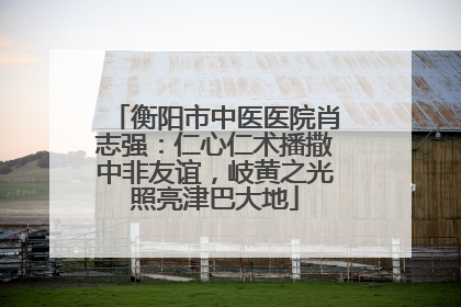 衡阳市中医医院肖志强：仁心仁术播撒中非友谊，岐黄之光照亮津巴大地