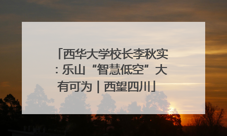 西华大学校长李秋实：乐山“智慧低空”大有可为｜西望四川