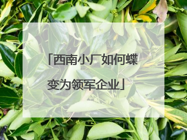 西南小厂如何蝶变为领军企业