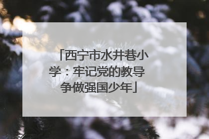 西宁市水井巷小学：牢记党的教导 争做强国少年