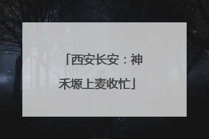 西安长安：神禾塬上麦收忙