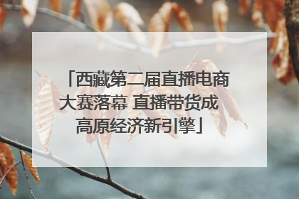 西藏第二届直播电商大赛落幕 直播带货成高原经济新引擎