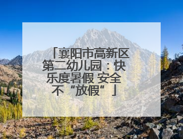 襄阳市高新区第二幼儿园：快乐度暑假 安全不“放假”