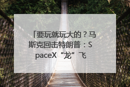要玩就玩大的？马斯克回击特朗普：SpaceX“龙”飞船将立即退役！