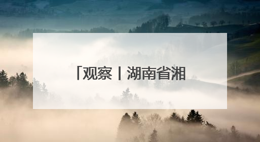 观察丨湖南省湘非经贸商会如何串起湖南与非洲的“万里商路”